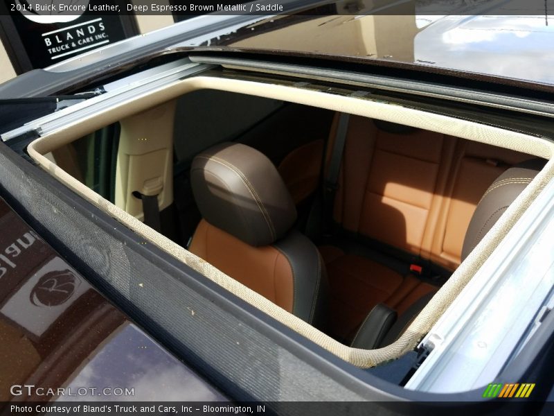Deep Espresso Brown Metallic / Saddle 2014 Buick Encore Leather