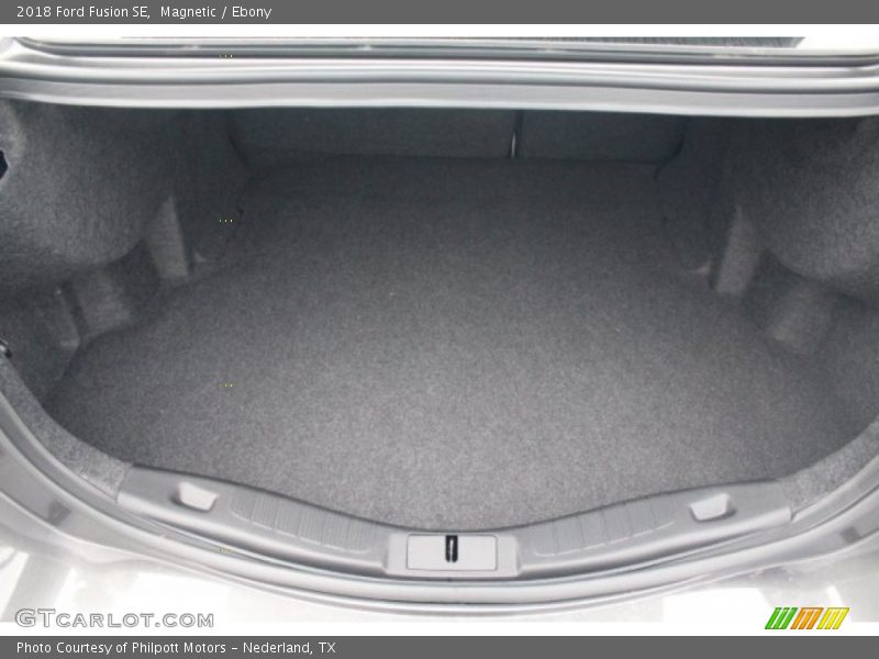 Magnetic / Ebony 2018 Ford Fusion SE