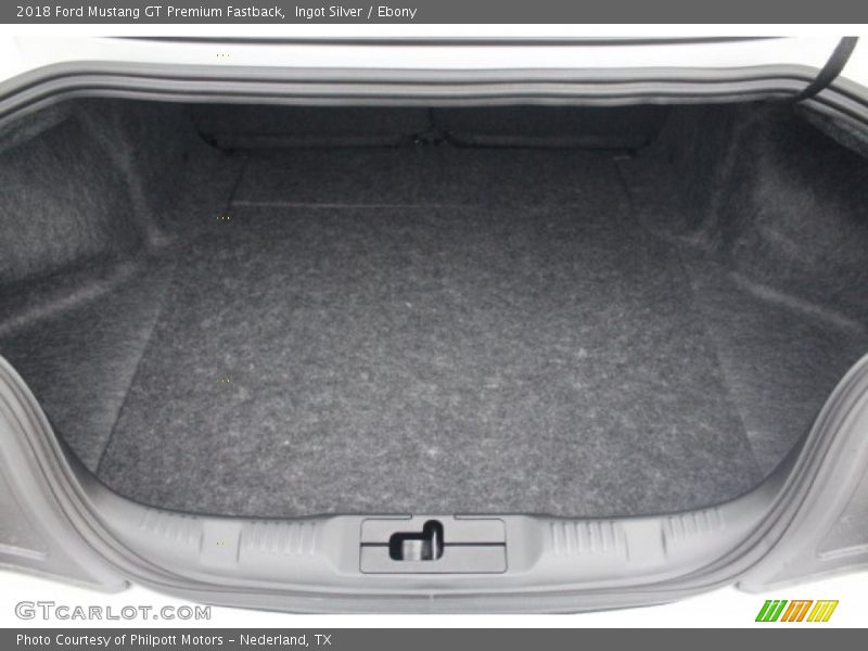 Ingot Silver / Ebony 2018 Ford Mustang GT Premium Fastback