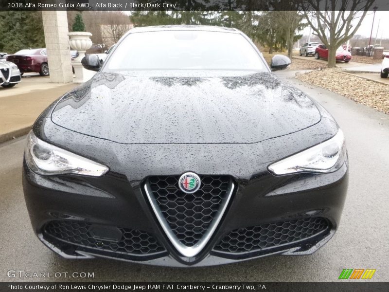 Alfa Black / Black/Dark Gray 2018 Alfa Romeo Giulia AWD