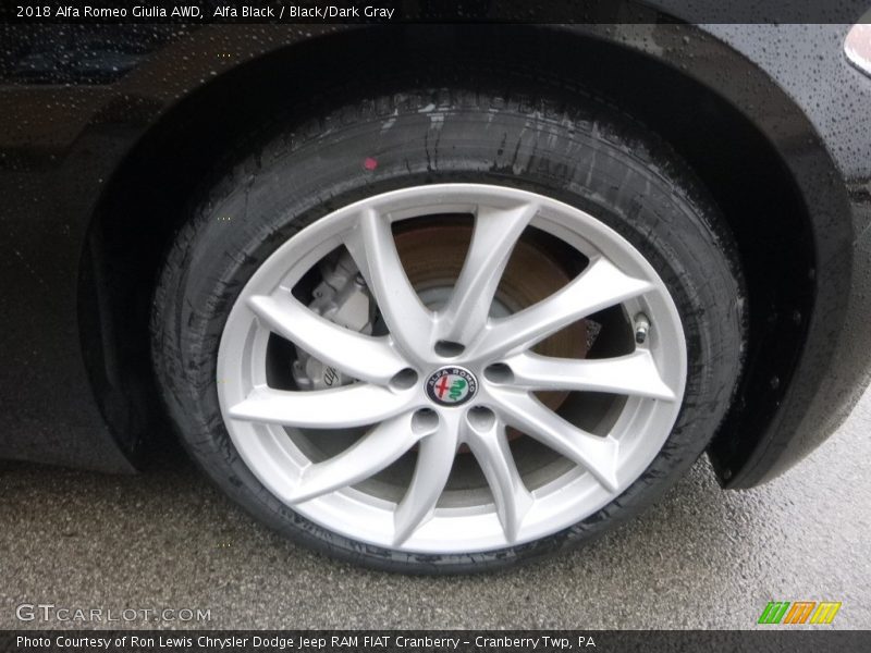 Alfa Black / Black/Dark Gray 2018 Alfa Romeo Giulia AWD