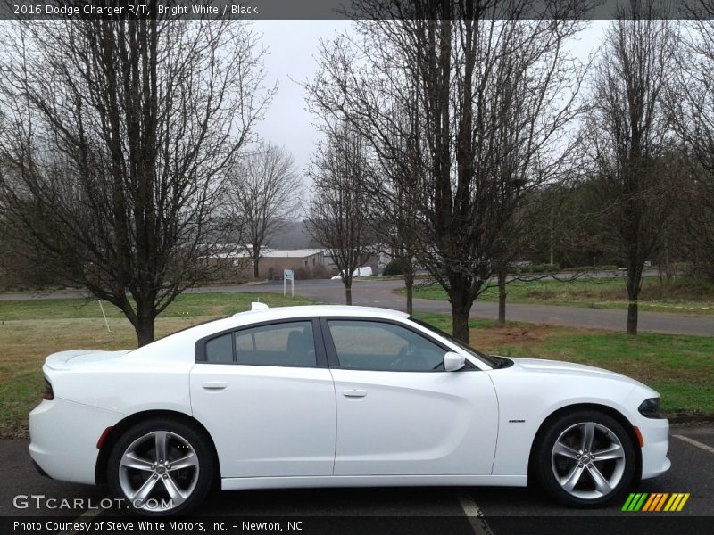 Bright White / Black 2016 Dodge Charger R/T