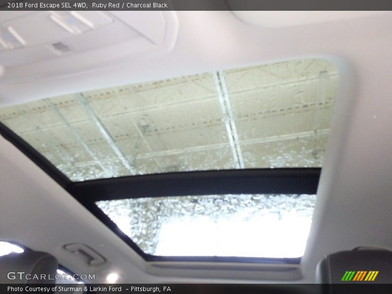 Ruby Red / Charcoal Black 2018 Ford Escape SEL 4WD