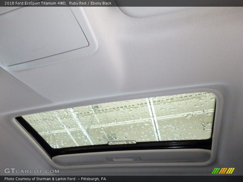 Ruby Red / Ebony Black 2018 Ford EcoSport Titanium 4WD