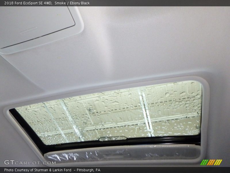 Smoke / Ebony Black 2018 Ford EcoSport SE 4WD