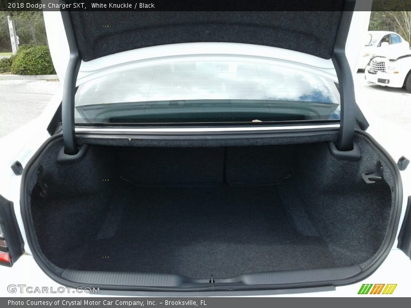 White Knuckle / Black 2018 Dodge Charger SXT