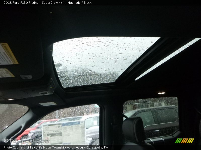 Magnetic / Black 2018 Ford F150 Platinum SuperCrew 4x4