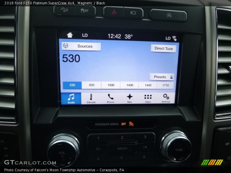 Magnetic / Black 2018 Ford F150 Platinum SuperCrew 4x4