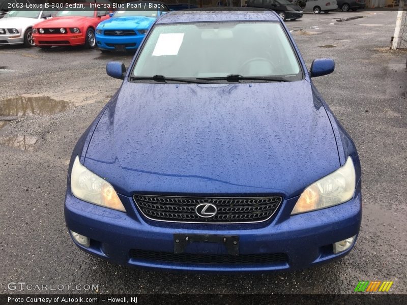 Intensa Blue Pearl / Black 2003 Lexus IS 300 Sedan