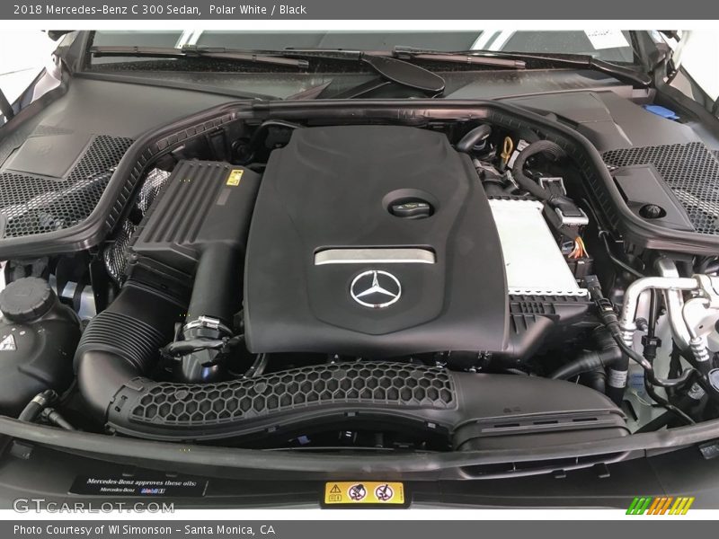 Polar White / Black 2018 Mercedes-Benz C 300 Sedan