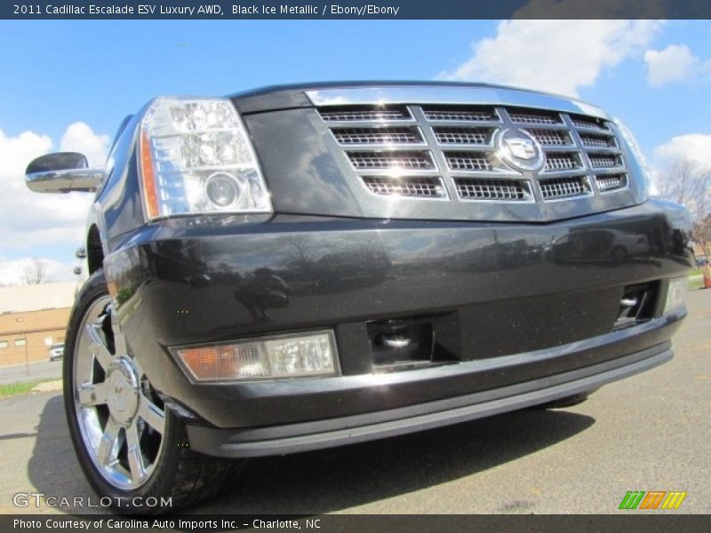 Black Ice Metallic / Ebony/Ebony 2011 Cadillac Escalade ESV Luxury AWD