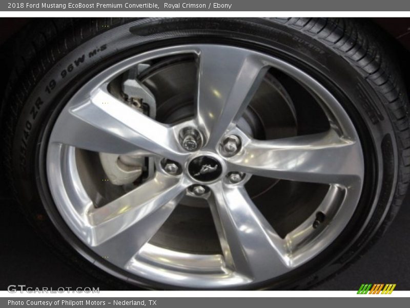 Royal Crimson / Ebony 2018 Ford Mustang EcoBoost Premium Convertible