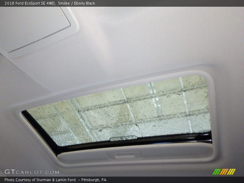 Smoke / Ebony Black 2018 Ford EcoSport SE 4WD