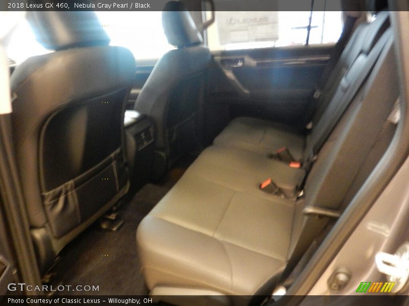 Nebula Gray Pearl / Black 2018 Lexus GX 460