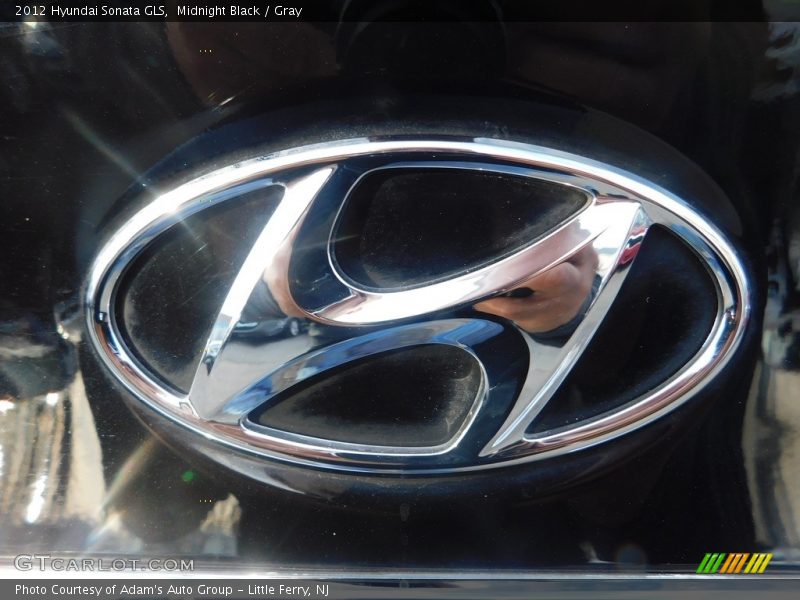 Midnight Black / Gray 2012 Hyundai Sonata GLS