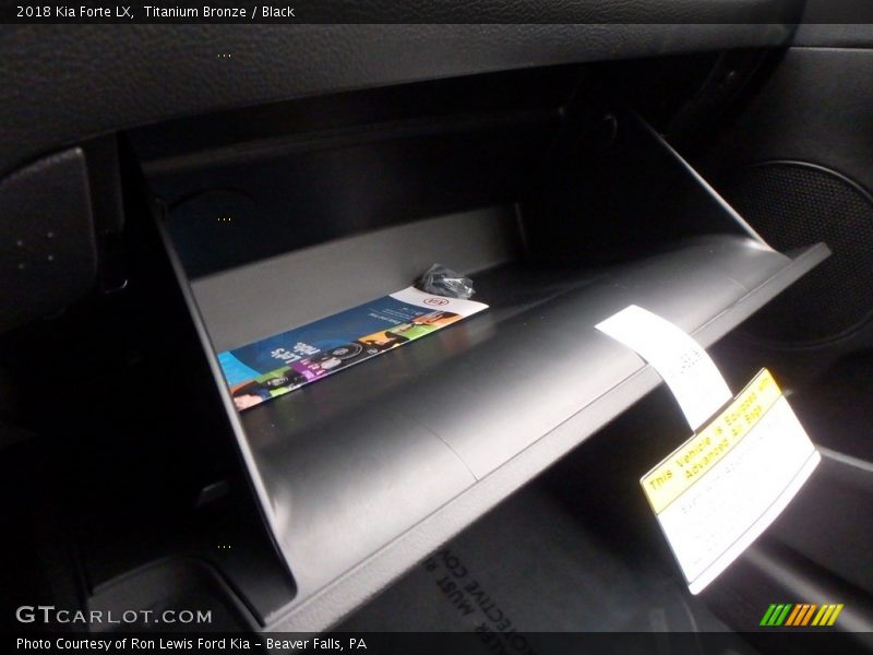 Titanium Bronze / Black 2018 Kia Forte LX