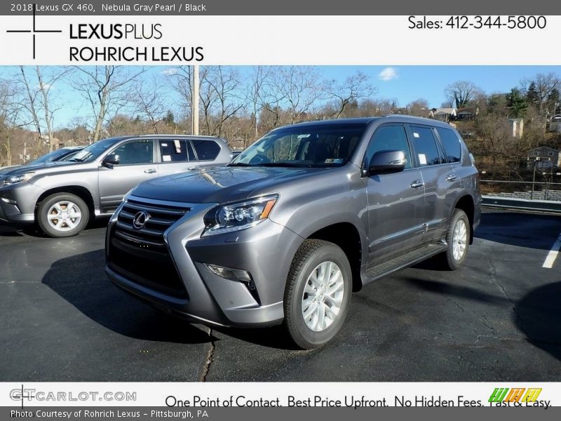 Nebula Gray Pearl / Black 2018 Lexus GX 460