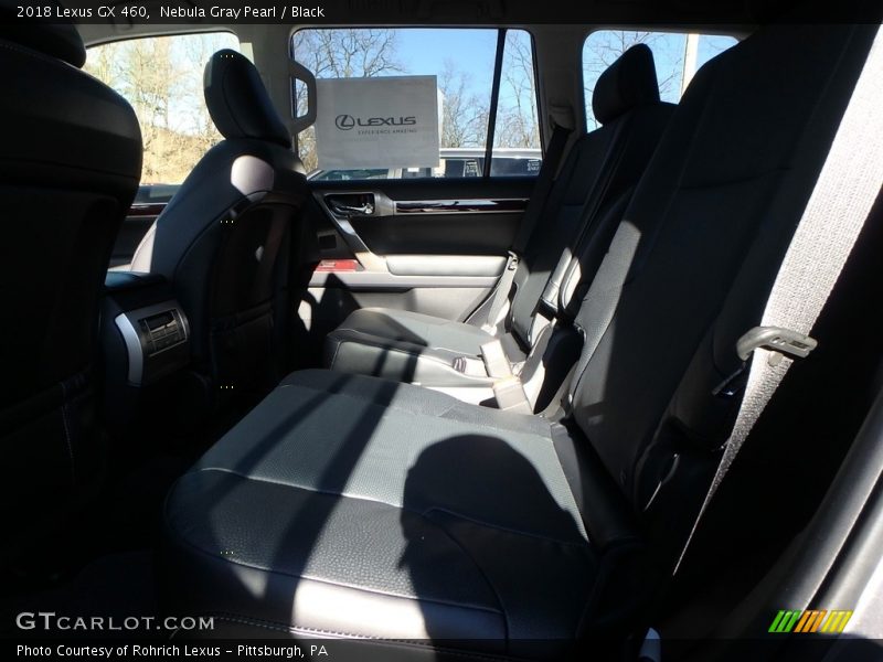 Nebula Gray Pearl / Black 2018 Lexus GX 460