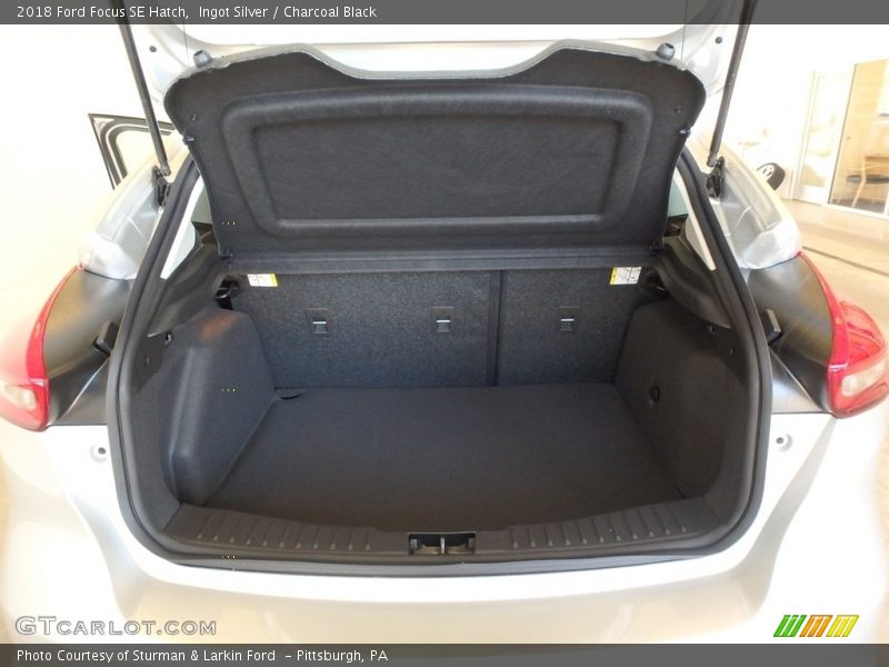 Ingot Silver / Charcoal Black 2018 Ford Focus SE Hatch