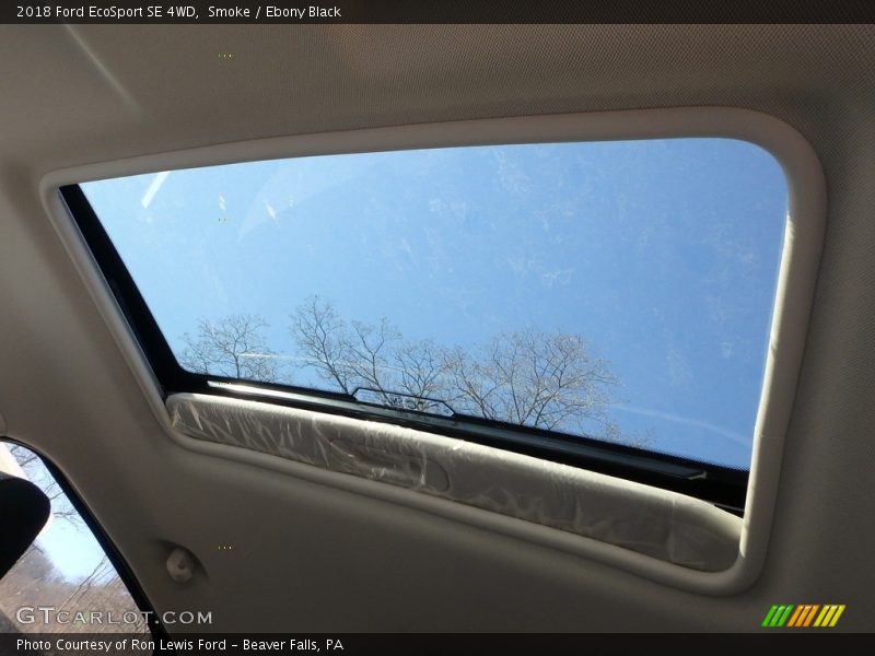 Smoke / Ebony Black 2018 Ford EcoSport SE 4WD