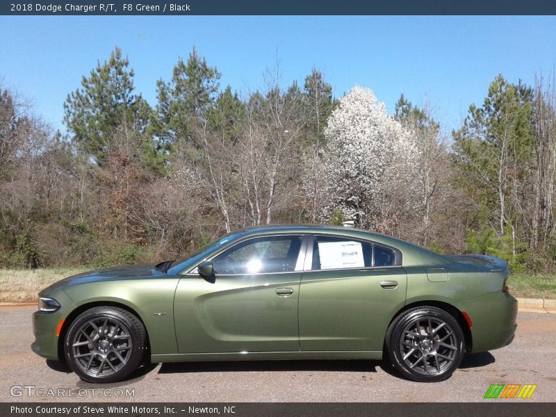F8 Green / Black 2018 Dodge Charger R/T