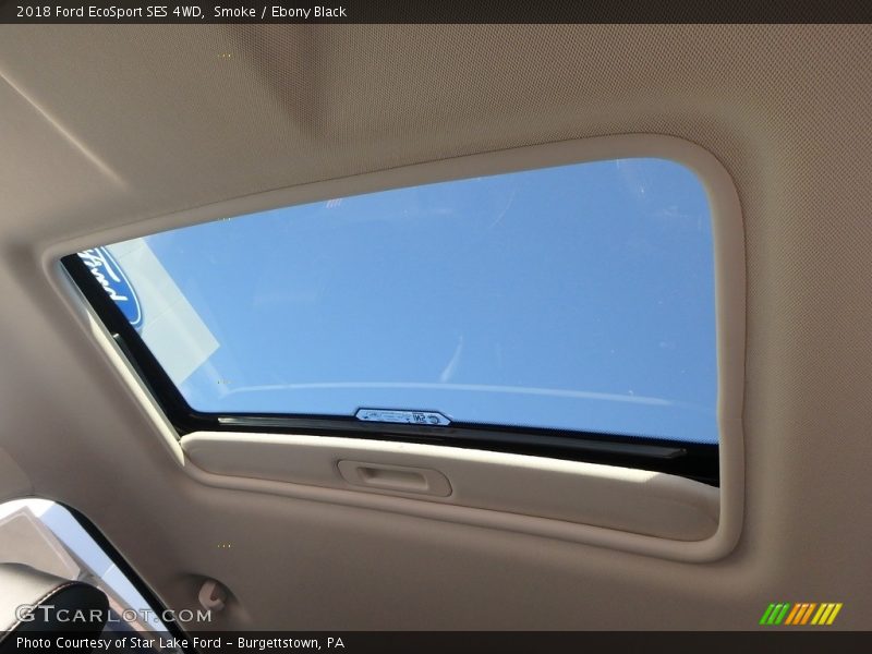 Smoke / Ebony Black 2018 Ford EcoSport SES 4WD
