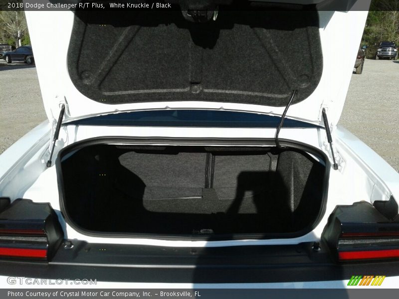 White Knuckle / Black 2018 Dodge Challenger R/T Plus