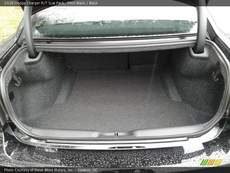 Pitch Black / Black 2018 Dodge Charger R/T Scat Pack