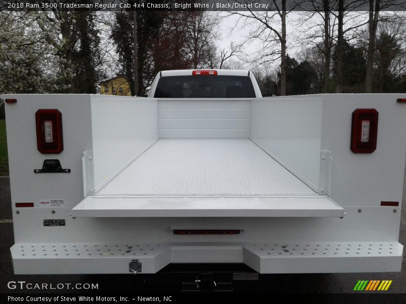 Bright White / Black/Diesel Gray 2018 Ram 3500 Tradesman Regular Cab 4x4 Chassis