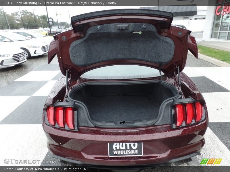 Royal Crimson / Ebony 2018 Ford Mustang GT Premium Fastback