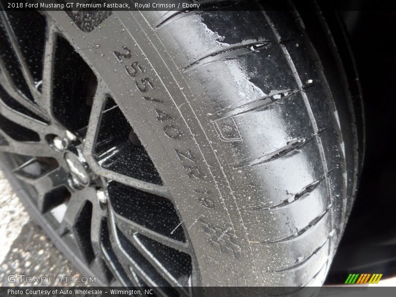 Royal Crimson / Ebony 2018 Ford Mustang GT Premium Fastback