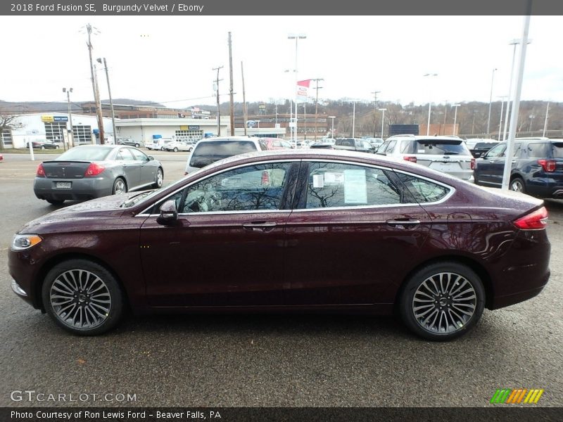 Burgundy Velvet / Ebony 2018 Ford Fusion SE