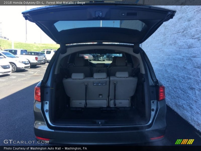 Forest Mist Metallic / Beige 2018 Honda Odyssey EX-L