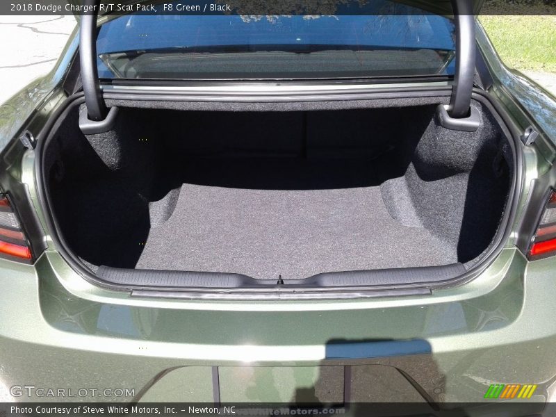 F8 Green / Black 2018 Dodge Charger R/T Scat Pack