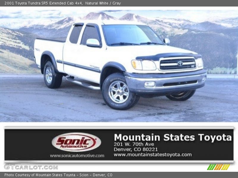 Natural White / Gray 2001 Toyota Tundra SR5 Extended Cab 4x4