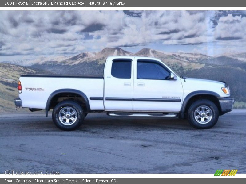 Natural White / Gray 2001 Toyota Tundra SR5 Extended Cab 4x4