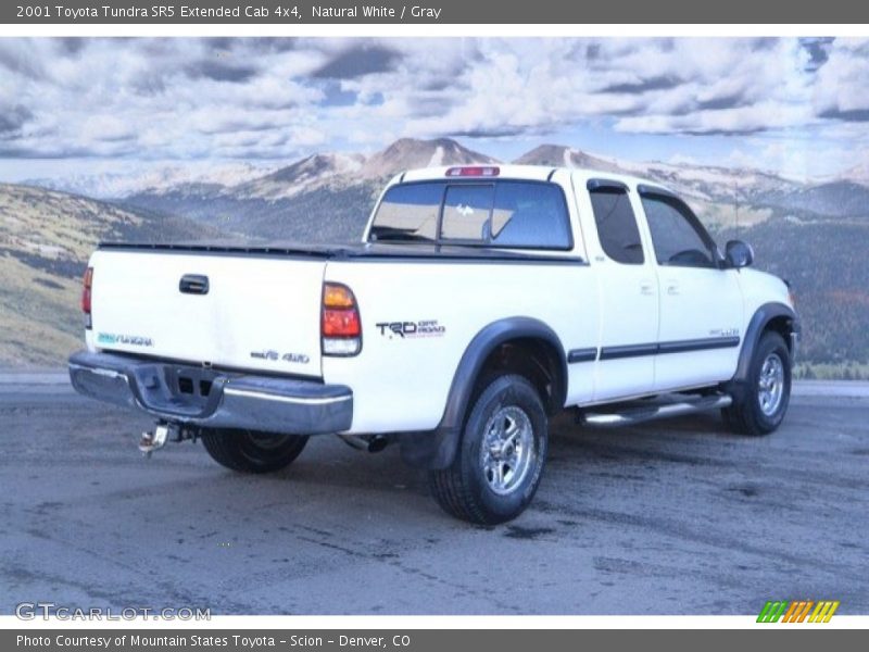 Natural White / Gray 2001 Toyota Tundra SR5 Extended Cab 4x4