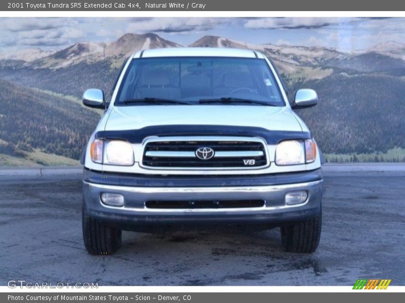Natural White / Gray 2001 Toyota Tundra SR5 Extended Cab 4x4