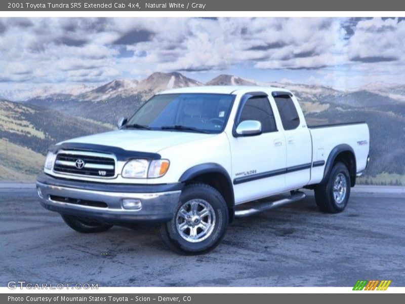 Natural White / Gray 2001 Toyota Tundra SR5 Extended Cab 4x4