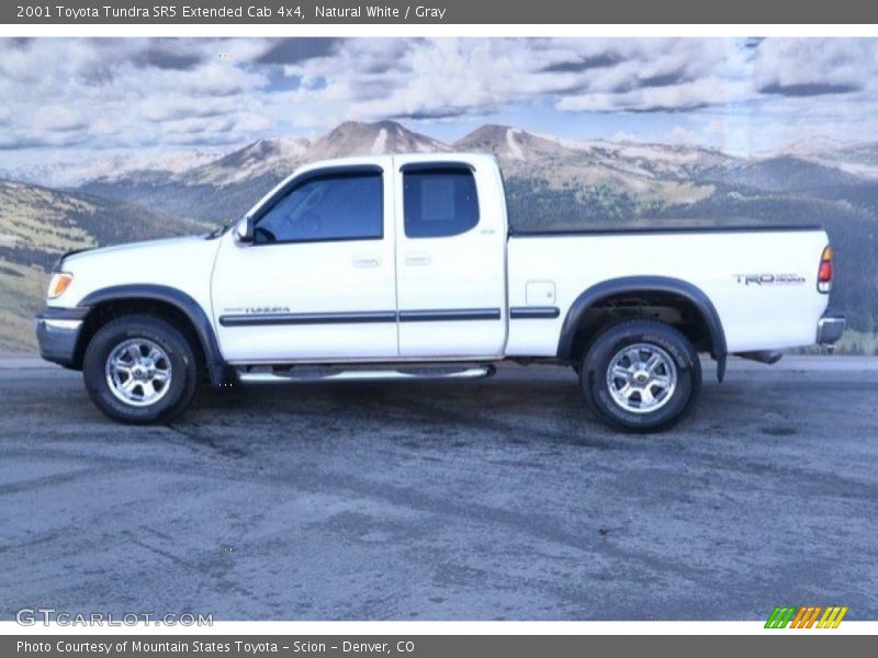 Natural White / Gray 2001 Toyota Tundra SR5 Extended Cab 4x4