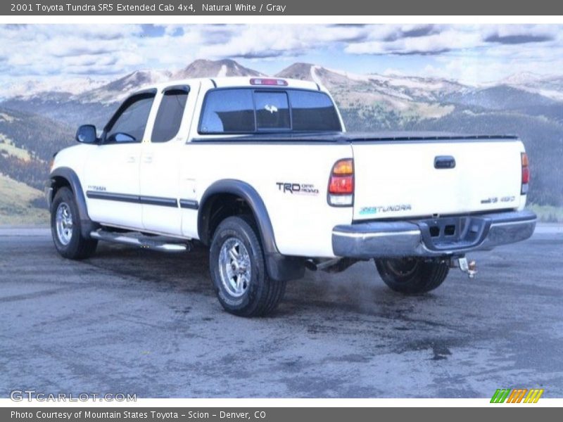 Natural White / Gray 2001 Toyota Tundra SR5 Extended Cab 4x4