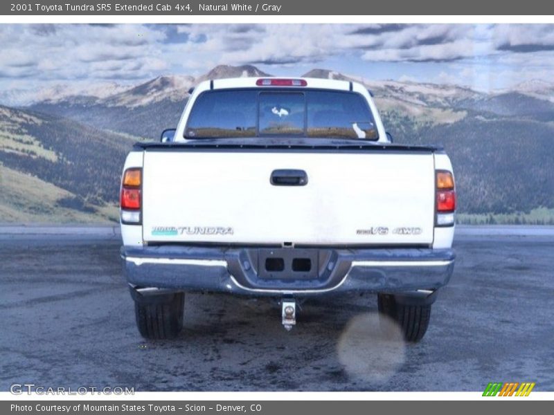 Natural White / Gray 2001 Toyota Tundra SR5 Extended Cab 4x4