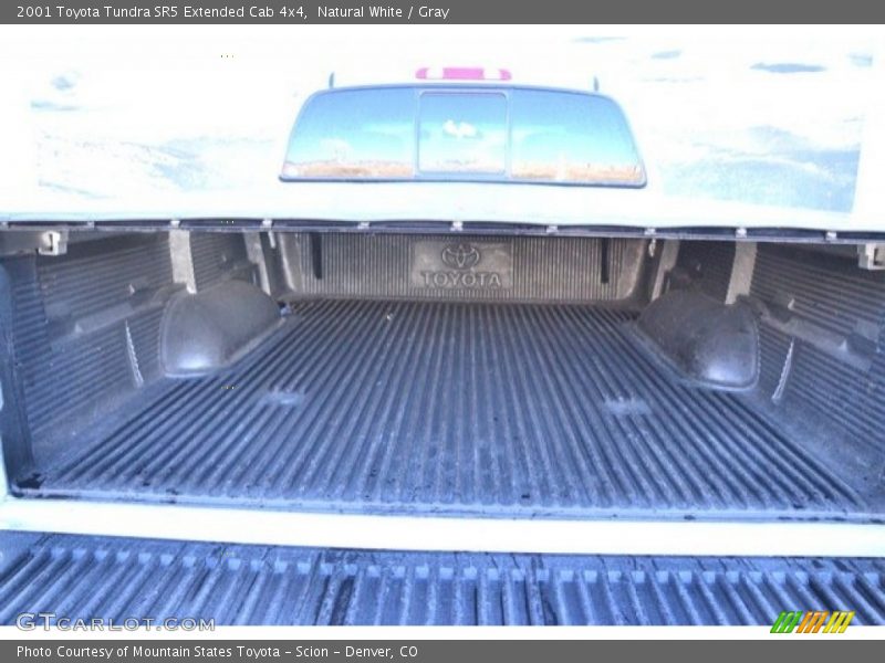 Natural White / Gray 2001 Toyota Tundra SR5 Extended Cab 4x4