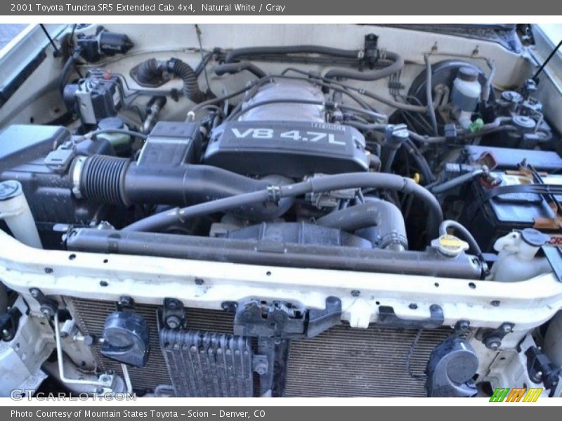 Natural White / Gray 2001 Toyota Tundra SR5 Extended Cab 4x4