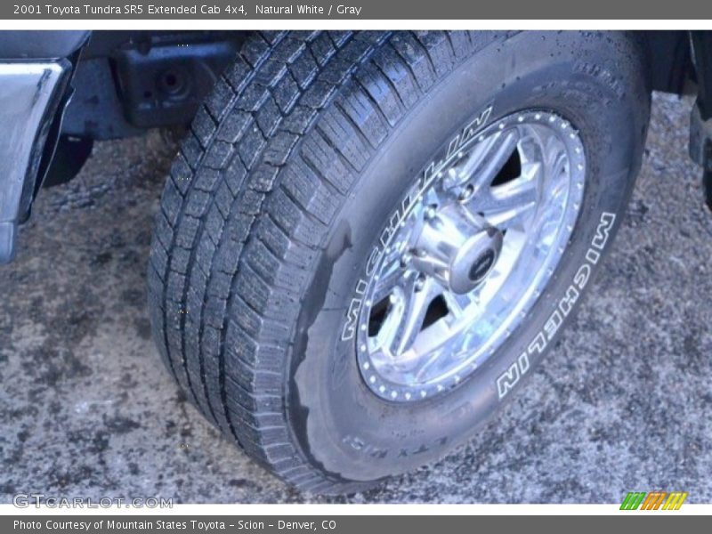 Natural White / Gray 2001 Toyota Tundra SR5 Extended Cab 4x4