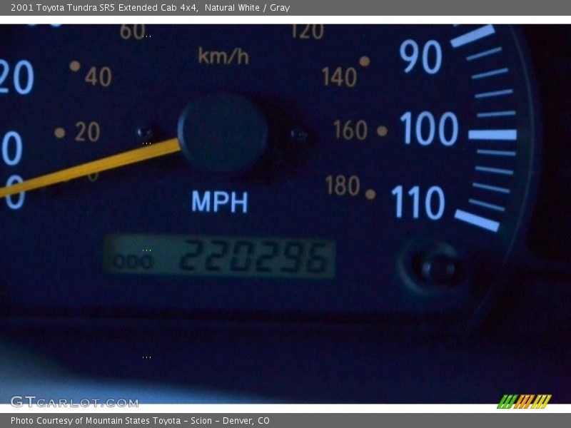 Natural White / Gray 2001 Toyota Tundra SR5 Extended Cab 4x4