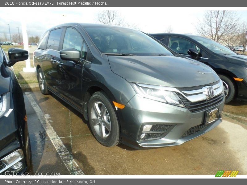 Forest Mist Metallic / Mocha 2018 Honda Odyssey EX-L