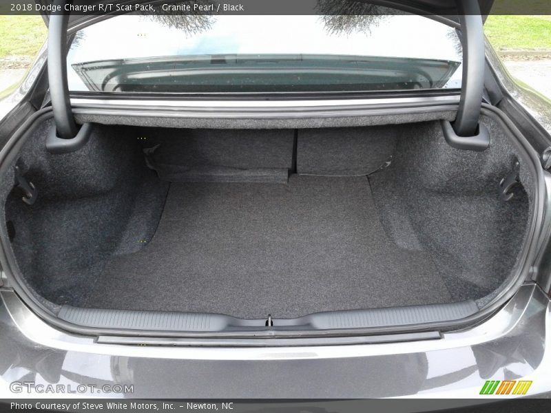 Granite Pearl / Black 2018 Dodge Charger R/T Scat Pack