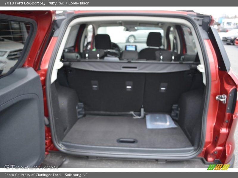 Ruby Red / Ebony Black 2018 Ford EcoSport SE