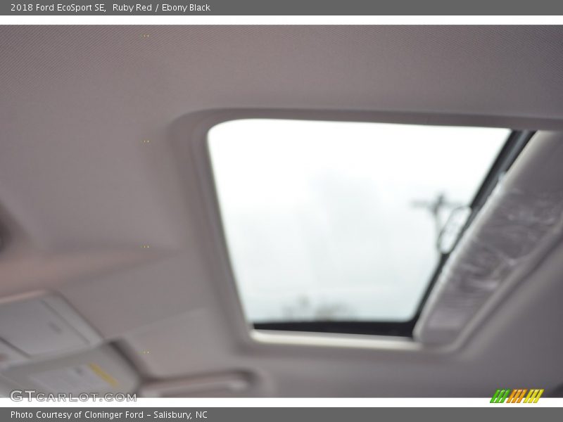 Ruby Red / Ebony Black 2018 Ford EcoSport SE